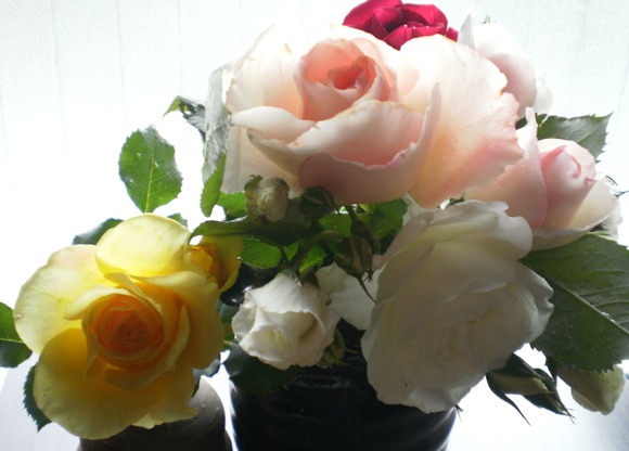 e0224842_2273432.jpg