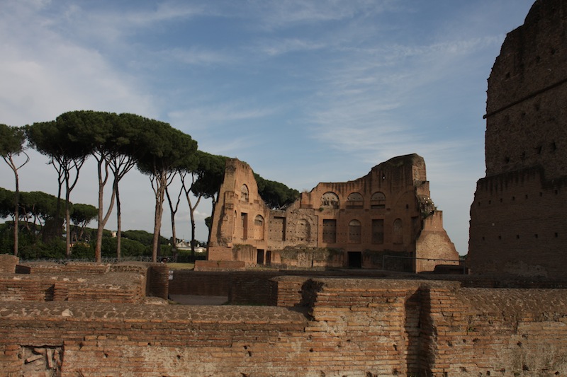 a0169844_633272.jpg