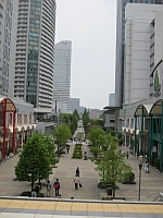 e0080345_848496.jpg