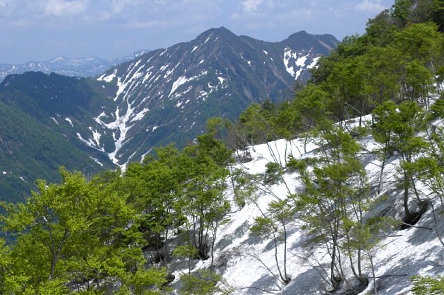 b0122448_21294352.jpg