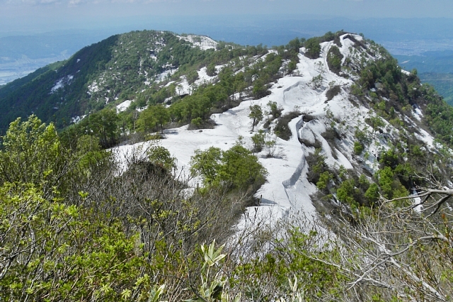 b0122448_21333597.jpg
