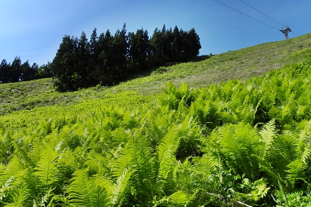b0122448_2182417.jpg