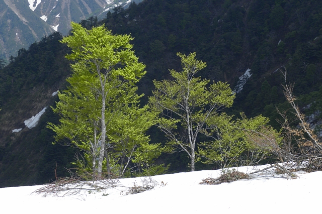 b0122448_221583.jpg