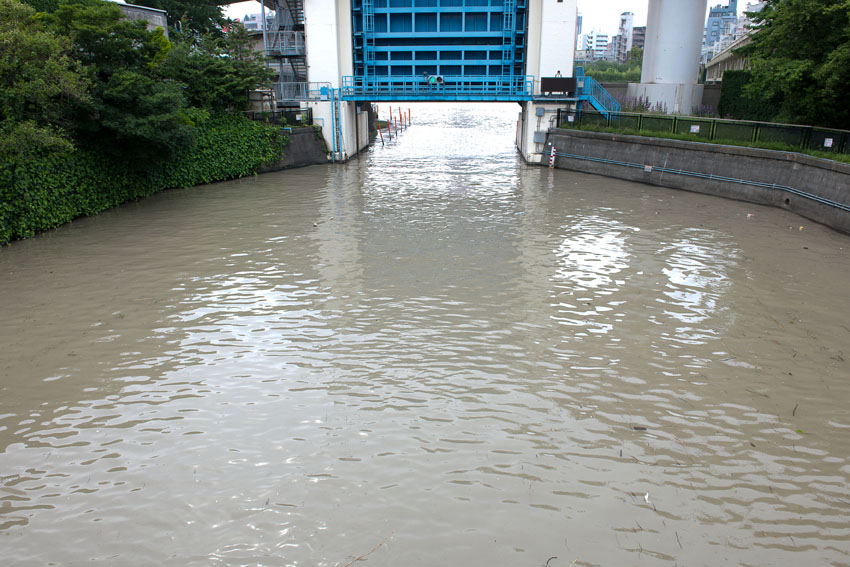 f0077849_17105683.jpg