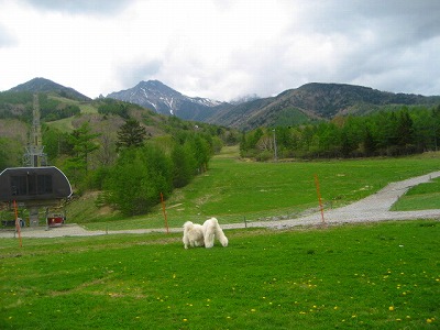 d0033151_16444531.jpg