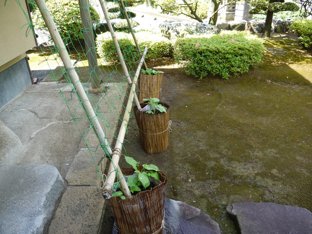 f0206452_17142945.jpg