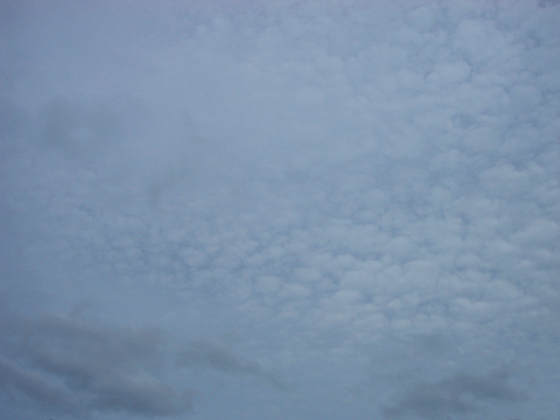 c0225153_1754354.gif