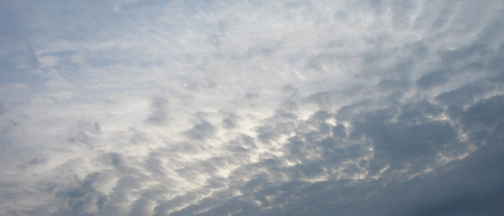 c0225153_18104219.gif