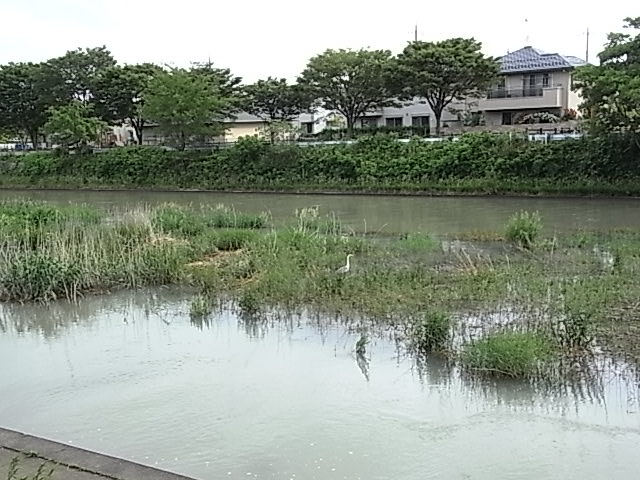 f0178153_1220235.jpg