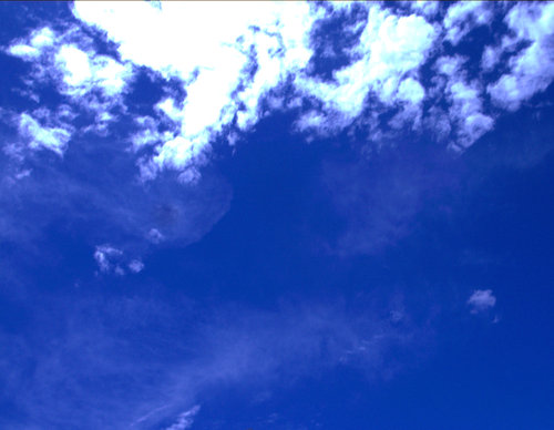 c0050857_019233.jpg