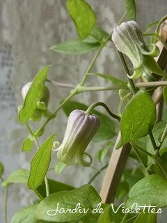 e0118257_14361480.jpg
