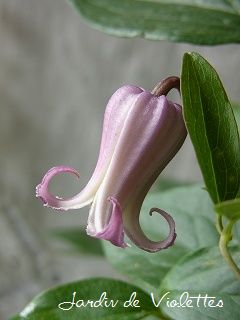 e0118257_14373771.jpg