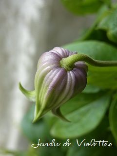 e0118257_14392910.jpg