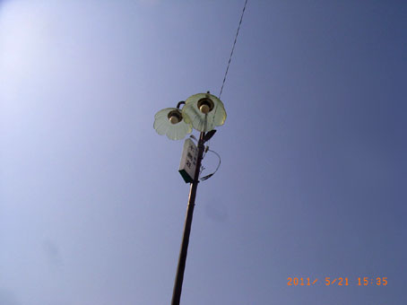 b0075364_77564.jpg