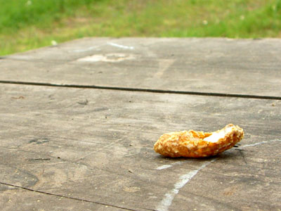 c0050264_10355975.jpg