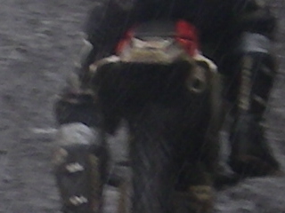 b0024266_1144180.jpg