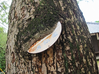 e0002466_12582889.jpg
