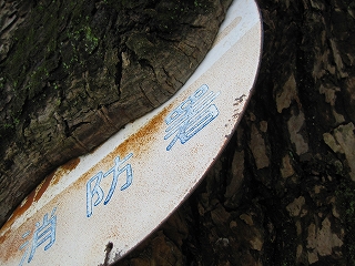e0002466_12584521.jpg