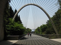 e0041168_10263244.jpg