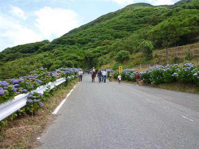 f0207669_14452869.jpg