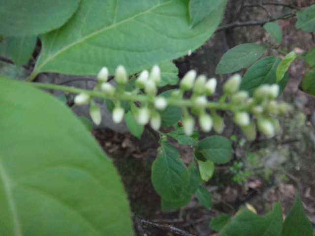 f0137275_437401.jpg