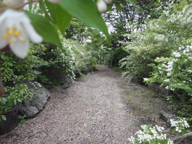 f0137275_4432874.jpg
