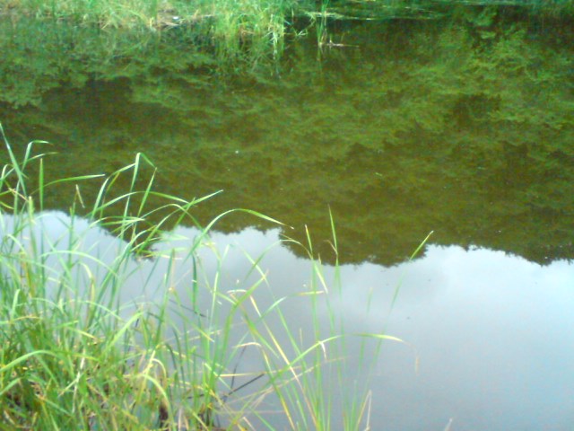 a0040876_19393066.jpg