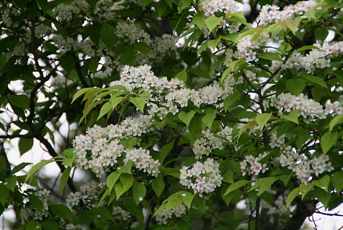 c0112479_23185974.jpg