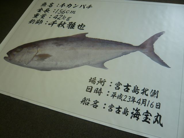 a0133388_17101117.jpg