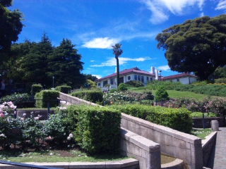 d0166389_8561100.jpg