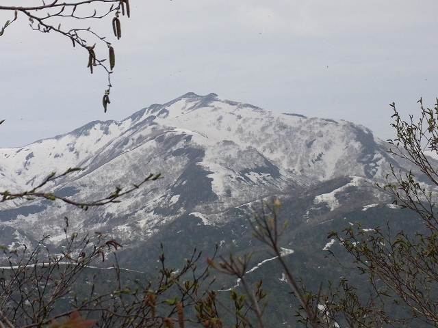 f0157901_20284728.jpg
