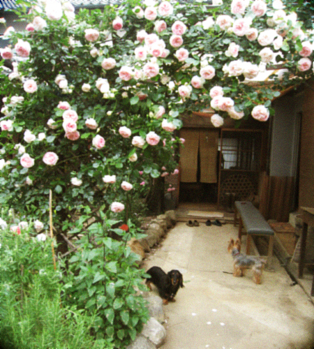 d0077603_645166.jpg
