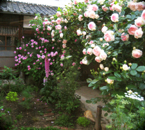 d0077603_6462855.jpg