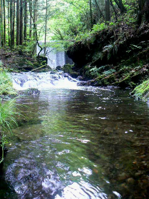 f0164503_5392086.jpg