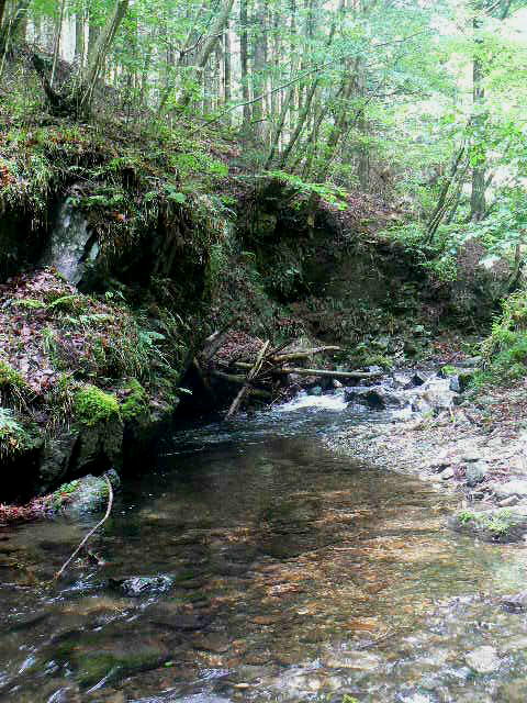 f0164503_5411036.jpg