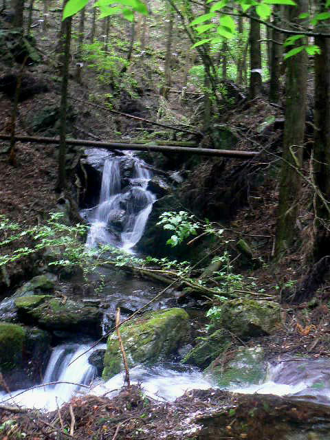 f0164503_5522234.jpg