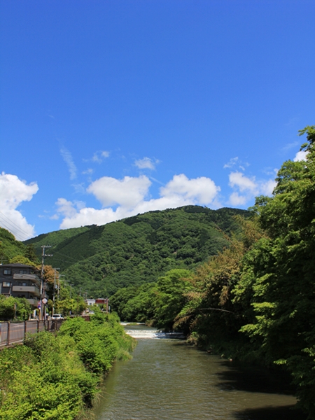 c0228404_21130.jpg