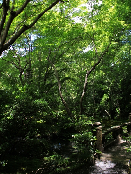 c0228404_2163654.jpg