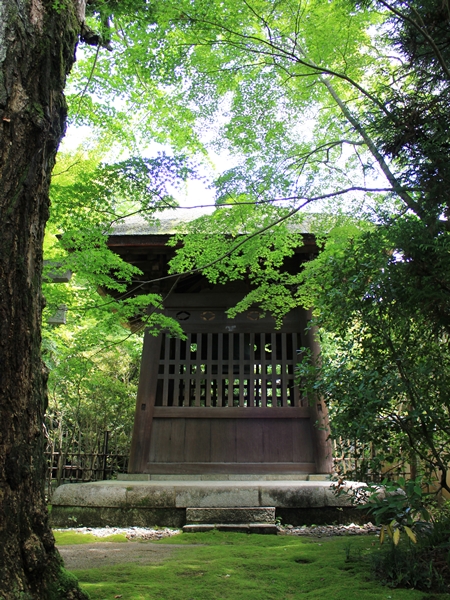 c0228404_2312598.jpg