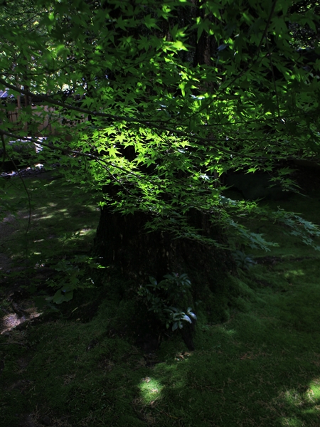 c0228404_232531.jpg
