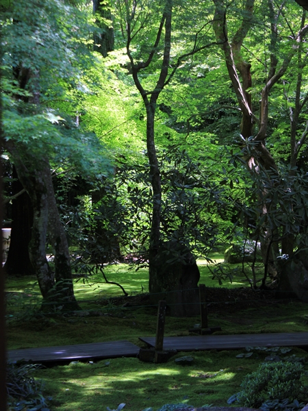 c0228404_328474.jpg