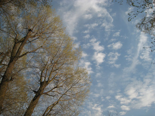 e0149604_2134044.jpg