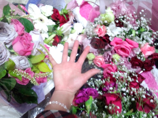 f0003804_329054.jpg