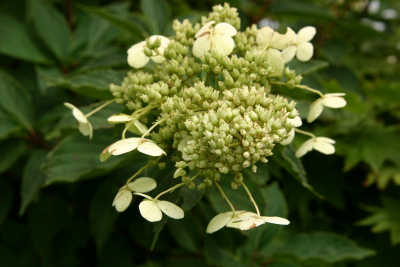 a0188405_22175686.jpg