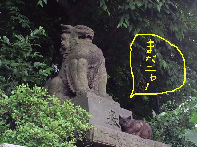 a0088007_22581155.jpg