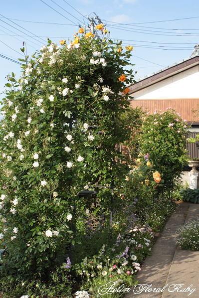 d0001008_1714095.jpg