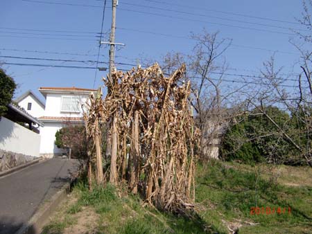 e0103408_15314415.jpg