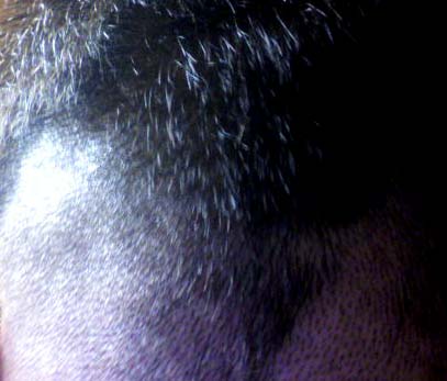 e0103408_153269.jpg