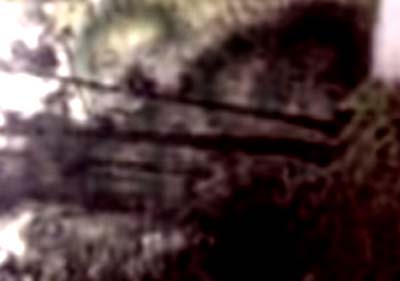 e0103408_23292348.jpg