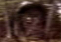 e0103408_23293389.jpg